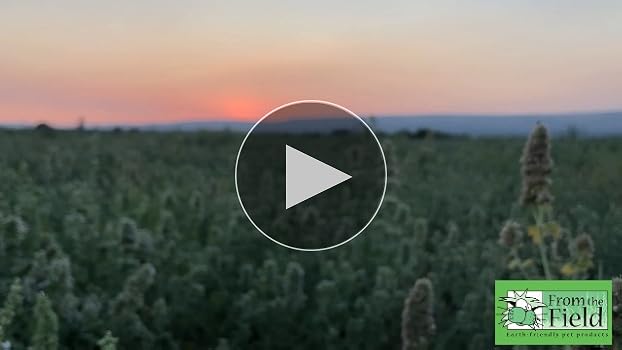 From The Field Chase Large Hemp Cat Tail Catnip Toy
