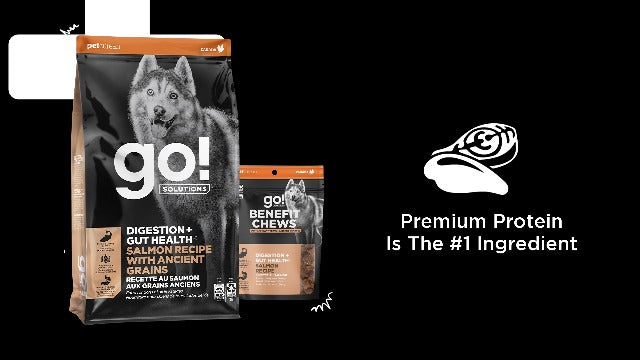 Go! Solutions Digestion + Gut Health Salmon & Ancient Grains Dry Dog Food, 22 lb Bag