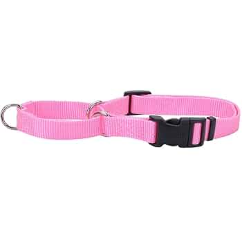 Coastal Pet No Slip Martingale Dog Collar, Pink, 5/8 in x 14-18 in, Adjustable with Buckle