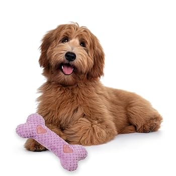 SPOT Soothers Warm Hug Bone - Calming Plush Dog Toy, Lavender Scent, 12 inch