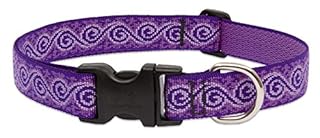 LupinePet Originals Jelly Roll Dog Collar - Adjustable 1" Wide, 16-28"