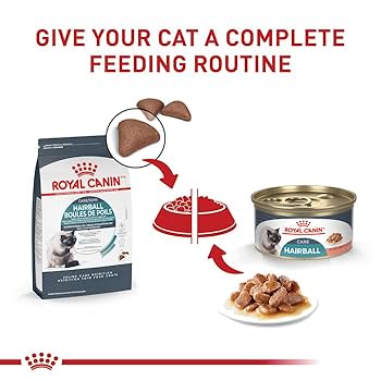 Royal Canin Hairball Care Dry Cat Food, 14 lb Bag