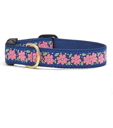 Up Country Avocado Dog Collar, Large (15-21 inches) 1" Wide