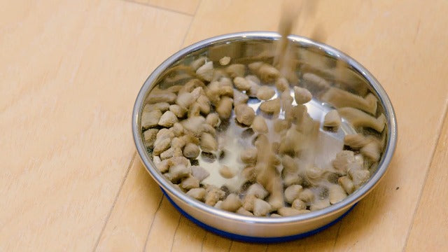 Rawz Cat Food Dehydrated - Turkey, Chicken Recipe - 3.5 lbs, Grain-Free, All Life Stages