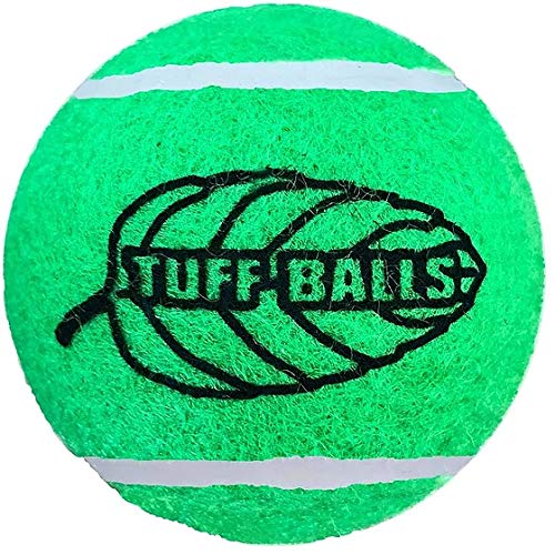 Petsport USA Jr. Tuff Mint Balls 2 Pack - Small Dog Tennis Ball Toy with Mint Flavor