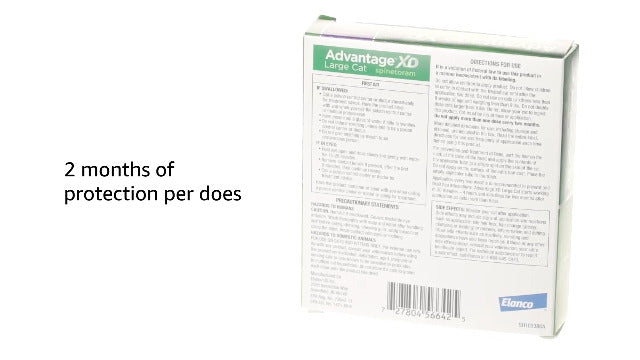 Advantage XD Large Cat Flea Treatment (Over 9 lbs) - 2 Month Protection, 1 Dose