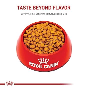 Royal Canin Feline Urinary Care Adult Dry Cat Food, 6 lb Bag