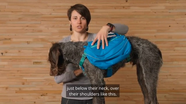 Ruffwear Approach Dog Backpack - Lightweight Hiking & Camping Pack, Small, Orange Poppy
