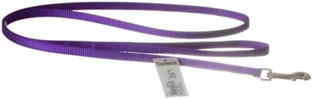 Coastal Single-Ply Nylon Dog Leash - Purple, 3/8 in x 4 ft