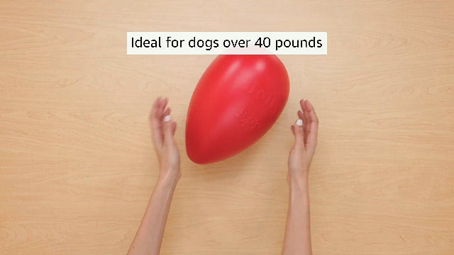 Jolly Pets Jolly Egg Dog Toy - 12 inch, Red - Hard Plastic, Erratic Rolling Ball