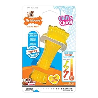 Nylabone Puppy Chew Freezer Bone Lamb & Apple - Color Changing Teething Toy