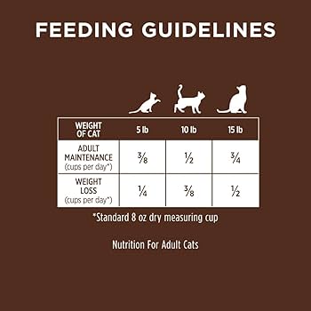 Instinct Ultimate Protein Grain Free Cage Free Chicken Recipe Natural Dry Cat Food, 10 lb Bag
