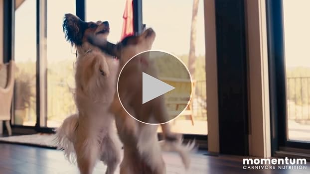 Momentum Carnivore Nutrition Freeze-Dried Duck Neck Dog & Cat Treats, 3 oz