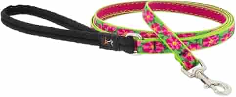 Lupine Petunias Dog Leash - 1/2 inch Width, 6 ft Length