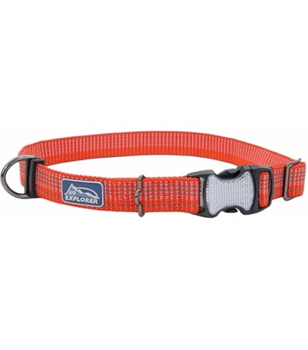 Coastal Nylon Dog Collar, Adjustable, Neon Pink, 3/8 in x 8-12 in, XS