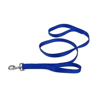 Coastal Loops 2 Double Handle Dog Leash, Blue, 1" x 6' Nylon Leash