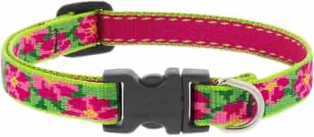 Lupine Petunias Dog Collar - 1/2 Inch Wide, Adjustable 10-16"