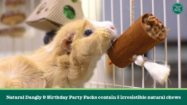 Oxbow Enriched Life Natural Dangly Party Pack - Small Animal Toy - Rabbit, Guinea Pig, Hamster, Chinchilla, Rat - Fun Chew Toy