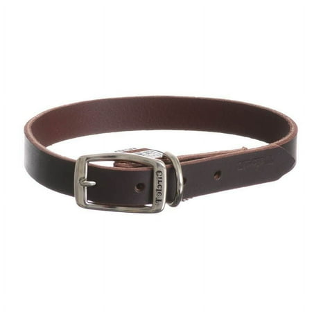 Circle T Latigo Leather Town Dog Collar - 20" x 3/4" - Coastal Pet Products