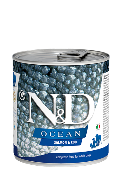 Farmina N&D Ocean Salmon & Cod Wet Dog Food - 10 oz (285g) Can - Adult Formula