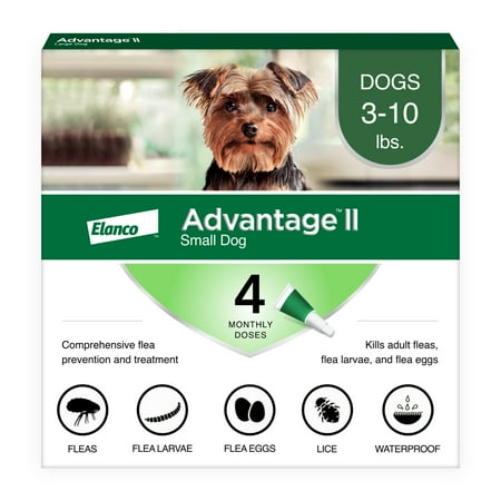 Flea and Lice Treatment for Dogs, 3-10 lb, 4 doses, Advantage II