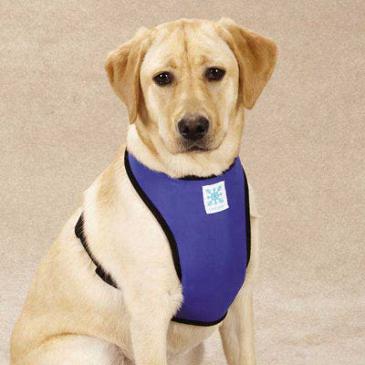 Guardian Gear Cool Pup Dog Cooling Harness, X-Large