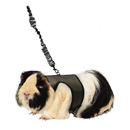 Kaytee Comfort Harness & Stretchy Leash - Large - Small Animal Harness