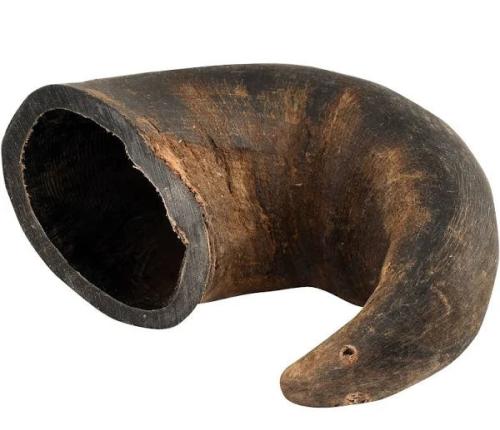 Honey I'm Home Medium Buffalo Horn Dog Chew - Natural, Long Lasting Treat