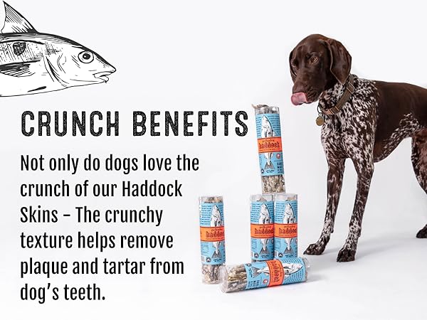 Polkadog Haddock Skin Dog & Cat Treats - Crunchy, Single Ingredient, 2oz Tube