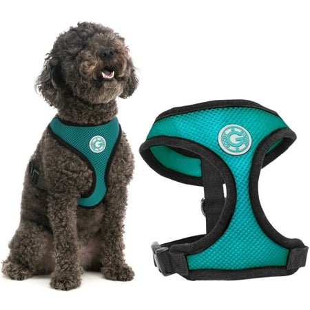 Gooby Soft Mesh Dog Harness - Breathable Small Dog Harness, Turquoise