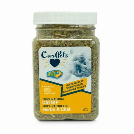 Cosmic Catnip Jar - 1.25 oz - Premium North American Grown Catnip for Cats