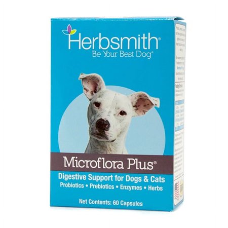 Herbsmith Microflora Plus Dog & Cat Digestive Supplement - 60 Capsules - Probiotics, Enzymes, & Herbs