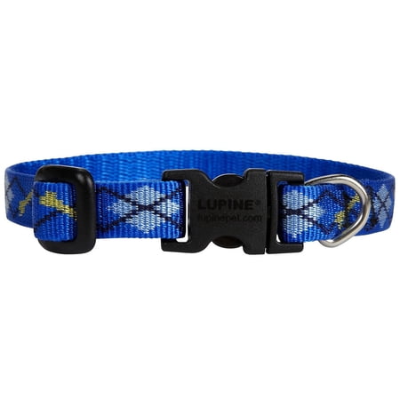 LupinePet Originals 1/2" Dapper Dog Collar - Adjustable 8-12" for Small Dogs