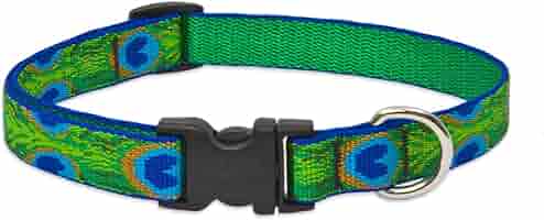 LupinePet Originals 3/4" Tail Feathers Dog Collar - Adjustable 13-22"