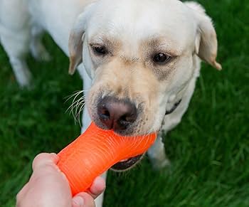 Ruff Dawg Peanut Crunch Dog Toy - Durable Rubber, Bouncy, Floating Fetch Toy