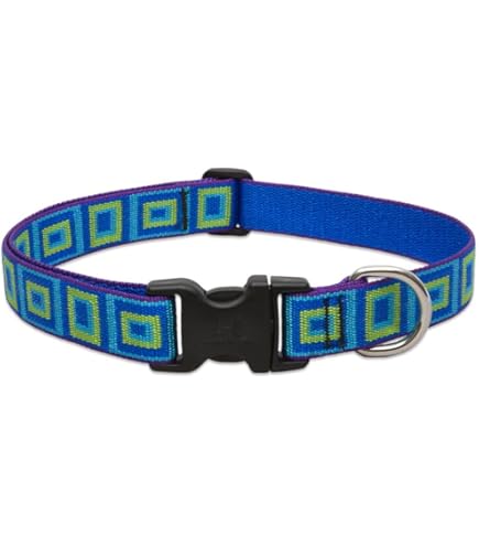 LupinePet Originals Dapper Dog Collar - 1" Wide, Adjustable 12-20" - Medium/Large Dogs