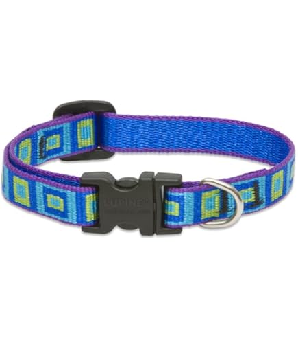 Lupine Pet 1/2" Sea Glass 6 Foot Dog Leash