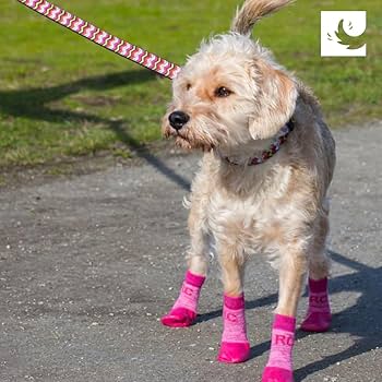 RC Pet Products Sporty PAWks Anti-Slip Dog Socks, X-Small, Mulberry Heather