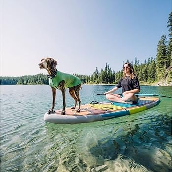 Goldpaw Sun Shield Tee for Dogs and Cats - UV Protection UPF50+