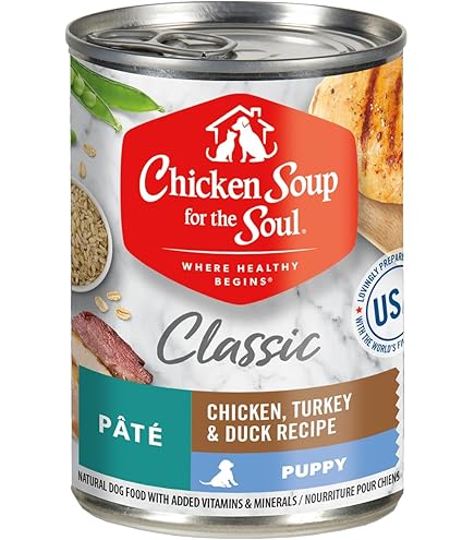 Chicken Soup for the Soul Adult Dog Food, Chicken, Turkey & Duck Pate, 13 oz Can