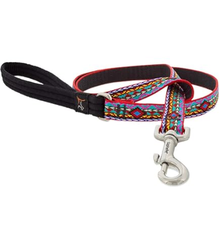 Lupine El Paso Dog Leash, 3/4 inch x 6 ft, Padded Handle