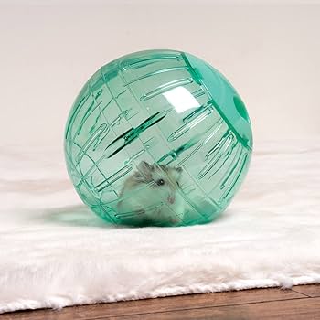 Oxbow Enriched Life Run Around Ball - Small Animal Exercise Toy - Hamster/Gerbil/Mouse Fun