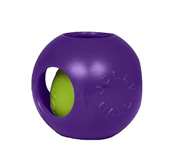 Jolly Pets Teaser Ball Dog Toy, Medium 6-Inch, Purple