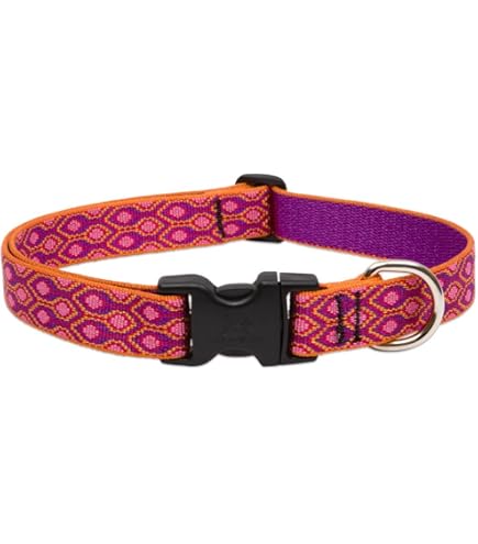 LupinePet Originals Rain Song Dog Collar, Adjustable Nylon, 1" Wide, 16-28"