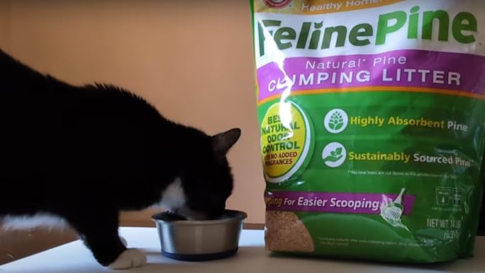 Arm & Hammer Feline Pine Clumping Cat Litter, Natural Pine, 14 lb Bag