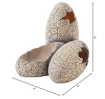 Exo Terra Dinosaur Eggs Hideout and Water Dish - Small Reptile Terrarium Decoration