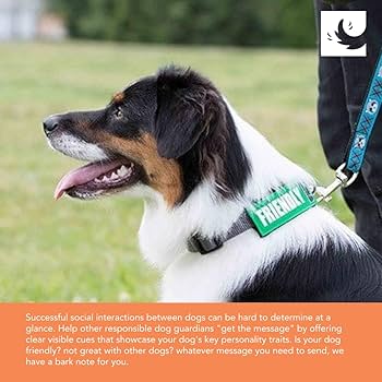 RC Pet Products 1" Bark Notes 'Caution' Patch - Dog Collar/Leash Accessory