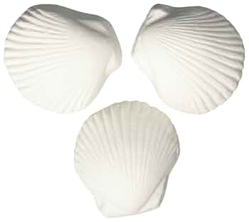 Weco Wonder Shell Natural Minerals Small, De-Chlorinator for Bowls (Up to 1 Gallon), 3-Pack