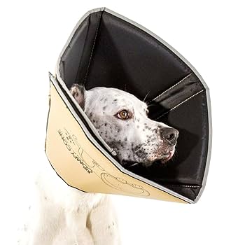 All Four Paws Comfy Cone - XS - Tan - Soft Pet Recovery Collar for Dogs & Cats