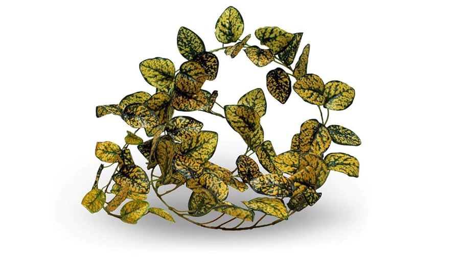 Pangea Leafy Vine - Reptile Terrarium Habitat Decor (Japanese Laurel)
